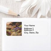 Monterey Cypress California Landschap Etiket (Insitu)