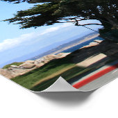 Monterey Cypress Tree, kustfoto Poster (Hoek)