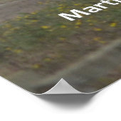 Monterey Cypresses Poster (Hoek)