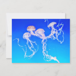 Monterey Jellyfish Briefkaart