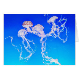 Monterey Jellyfish-Wenskaart
