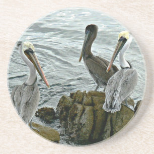 Monterey Pelicans Onderzetter