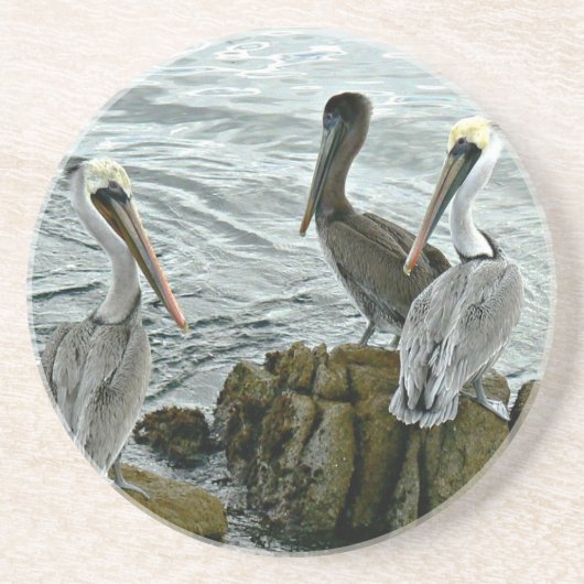 Monterey Pelicans Onderzetter (Voorkant)