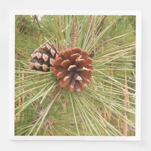 Monterey Pine Tree met dennenappels Servet (Voorkant)