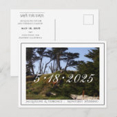 Monterey Pines California Save the Date Aankondigingskaart (Voorkant / Achterkant)