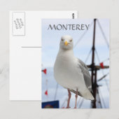 Monterey, Seagull en Boat Briefkaart (Voorkant / Achterkant)