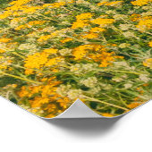 Monterey Spring Poster (Hoek)