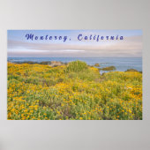 Monterey Spring Poster (Voorkant)