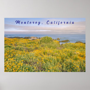 Monterey Spring Poster