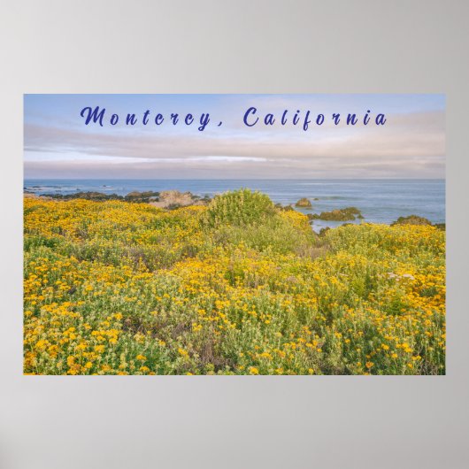 Monterey Spring Poster (Voorkant)