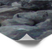 Monterey Watering Hole Poster (Hoek)