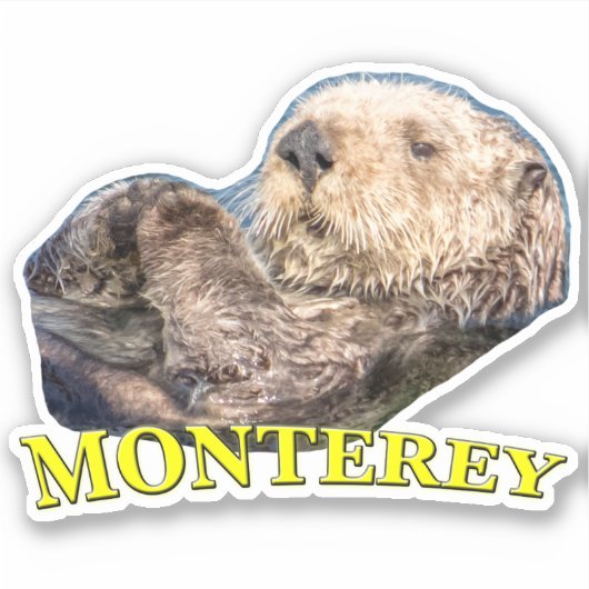 Monterey Zee Otter Vinyl Custom Cut Sticker (Voorkant)
