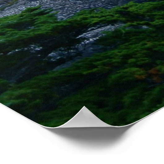 monterieboom poster (Hoek)