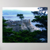 monterieboom poster (Voorkant)