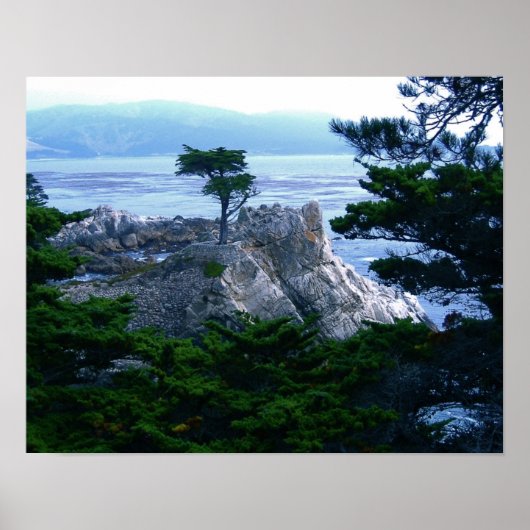 monterieboom poster (Voorkant)