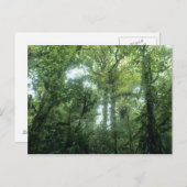 Monteverde Cloud Forest, Costa Rica. Briefkaart (Voorkant / Achterkant)