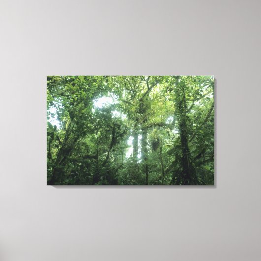 Monteverde Cloud Forest, Costa Rica. Canvas Afdruk (Voorkant)