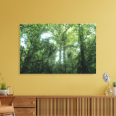 Monteverde Cloud Forest, Costa Rica. Canvas Afdruk (Insitu (Woonkamer))