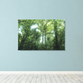 Monteverde Cloud Forest, Costa Rica. Canvas Afdruk (Insitu (Houten vloer))