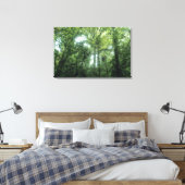 Monteverde Cloud Forest, Costa Rica. Canvas Afdruk (Insitu (Slaapkamer))