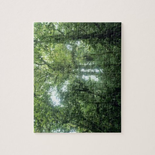 Monteverde Cloud Forest, Costa Rica. Legpuzzel (Verticaal)