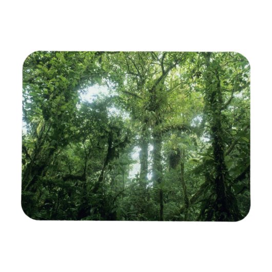 Monteverde Cloud Forest, Costa Rica. Magneet (Horizontaal)