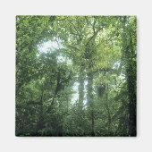 Monteverde Cloud Forest, Costa Rica. Magneet (Voorkant)