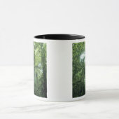 Monteverde Cloud Forest, Costa Rica. Mok (Midden)