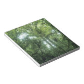 Monteverde Cloud Forest, Costa Rica. Notitieblok (Schuin)