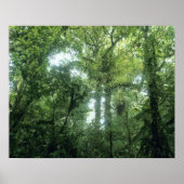 Monteverde Cloud Forest, Costa Rica. Poster (Voorkant)