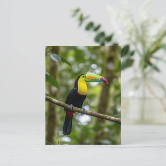Monteverde Cloud Forest Toucan Costa Rica Briefkaart (Staand voorkant)