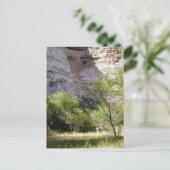 Montezuma Castle Cliff Indian Grass Trees Briefkaart (Staand voorkant)