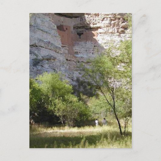 Montezuma Castle Cliff Indian Grass Trees Briefkaart (Voorkant)