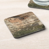 Montezuma Castle National Monument (Arizona) Bier Onderzetter (Linkerzijde)