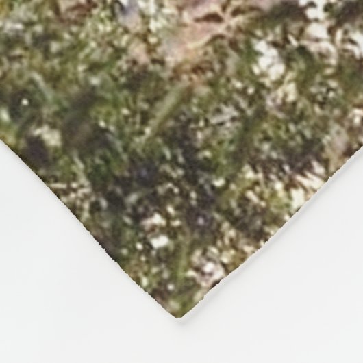 Montezuma Castle National Monument AZ Photo Design Fleece Deken (Hoek)