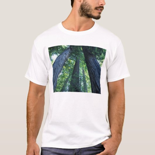 Montgomery Bossen State Reserve, Californië. T-shirt (Voorkant)
