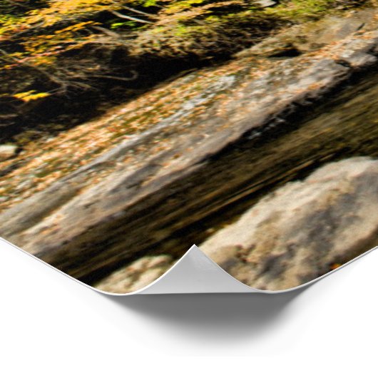 Montgomery Covered Bridge with fall foliation Poster (Hoek)