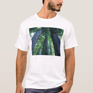 Montgomery Woods State Reserve, Californië. T-shirt
