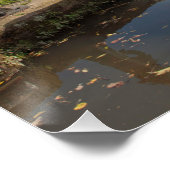 Montgomerykanaal Shropshire Engeland Perfect Poster (Hoek)