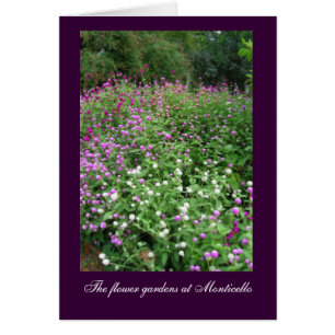 Monticello Flower Gardens