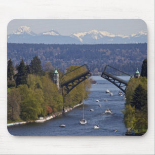 MontLake Bridge en Cascade Mountains Muismat