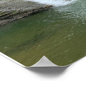 Montour Herfsten Finger Lakes Poster (Hoek)