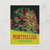 Montpellier Arbre blanc illustratie Frankrijk Briefkaart (Voorkant)