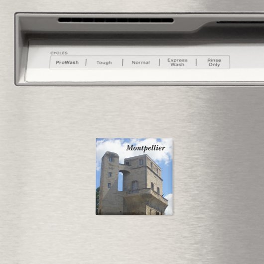 Montpellier - magneet (Insitu (Vaatwasser))