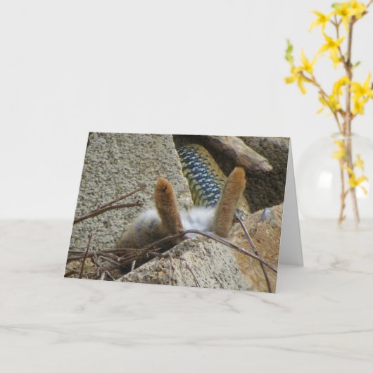 Montpellier Snake en Konijn Kaart (Gele Bloem)