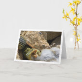 Montpellier Snake Feasting op Konijn Kaart (Gele Bloem)