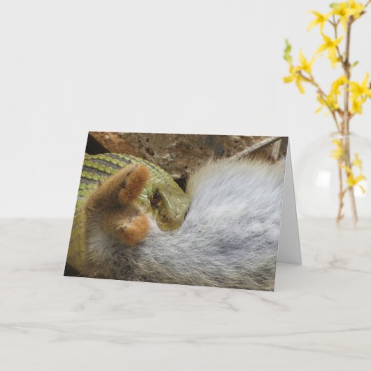 Montpellier Snake Feasting op Konijn Kaart (Gele Bloem)