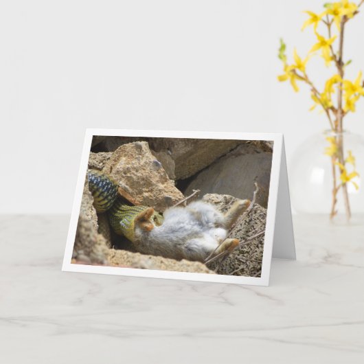 Montpellier Snake Feasting op Konijn Kaart (Gele Bloem)