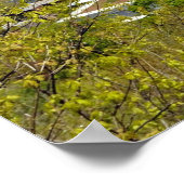 Montréal Quebec Canada Poster (Hoek)