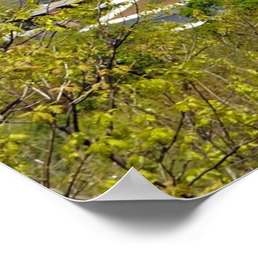 Montréal Quebec Canada Poster (Hoek)